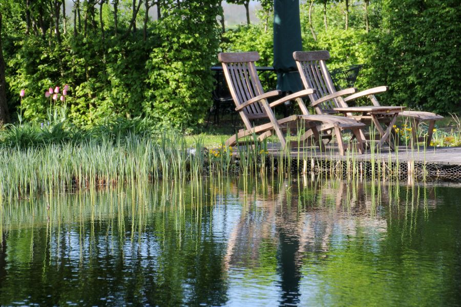 Entspannen am Teich
