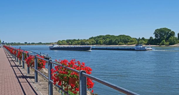 Rees Schifffahrt am Niederrhein