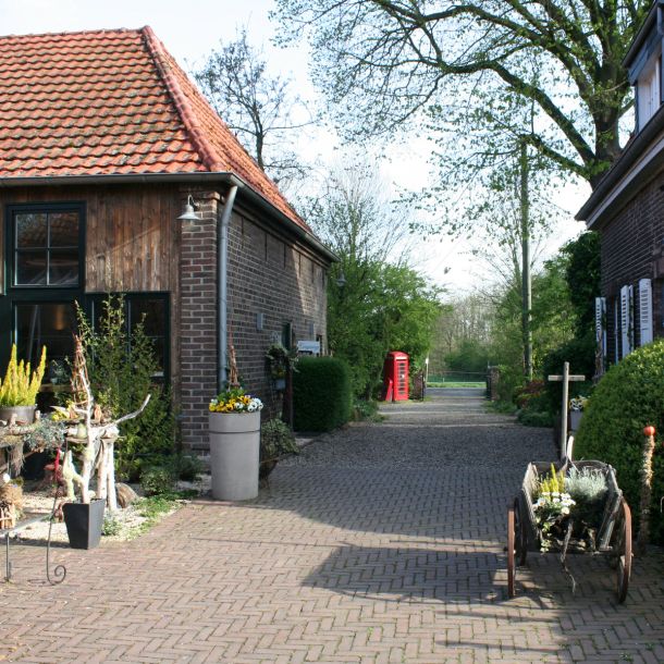 Zufahrt zum Lindenhof